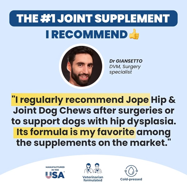 A testimonial-based ad creative featuring a veterinarian's endorsement of Hip & Joint Dog Chews to build consumer trust and credibility.